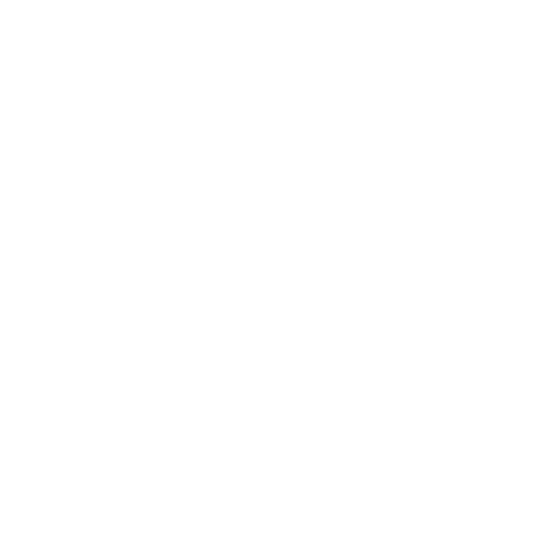 veo-Icon Datra Protection