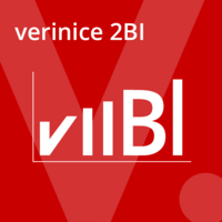 verinice2BI Connector